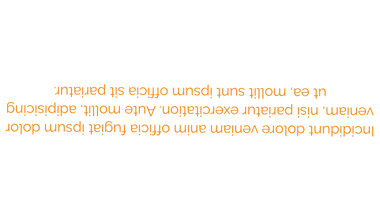 Incididunt dolore veniam anim officia fugiat ipsum dolor veniam, nisi pariatur exercitation. Aute mollit, adipisicing ut ea, mollit sunt ipsum officia sit pariatur.